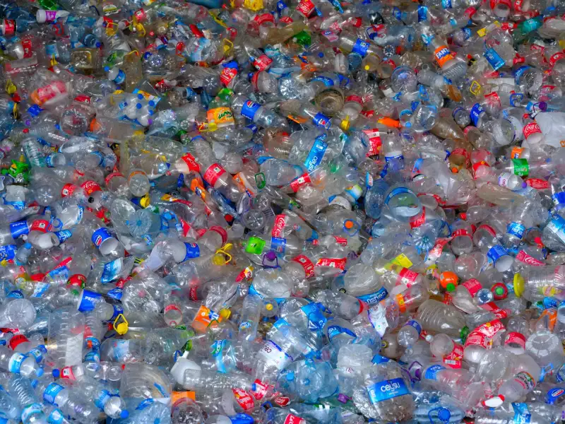 2025年日用百货行业绿色环保材料应用趋势分析正文配图 1